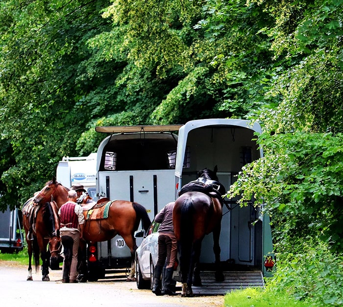 Suivez vos porte-chevaux